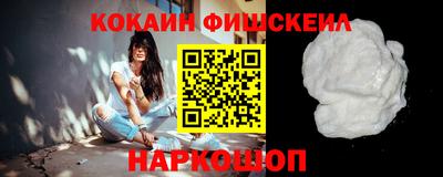 тгк Кингисепп
