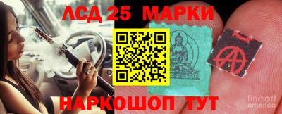 стаф Кинель