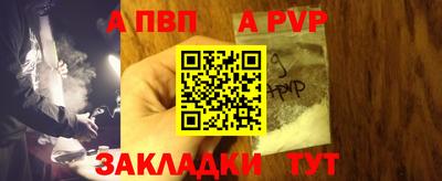 стаф Кинель