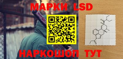 стаф Кинель