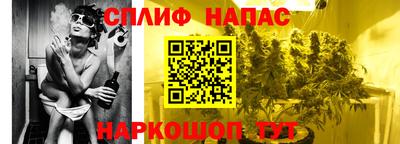 стаф Кинель