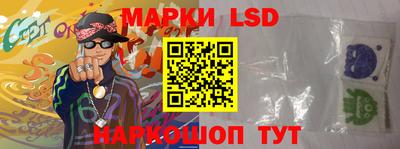 тгк Кингисепп