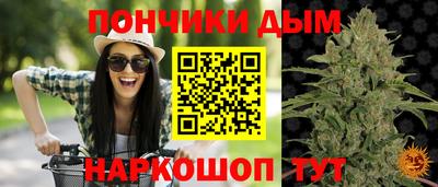стаф Кинель