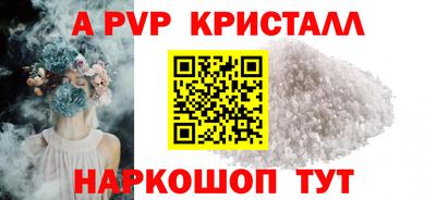тгк Кингисепп