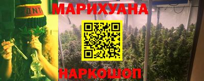 тгк Кингисепп
