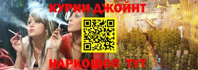 стаф Кинель