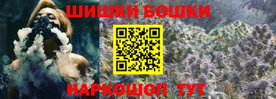 тгк Кингисепп