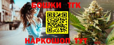 тгк Кингисепп