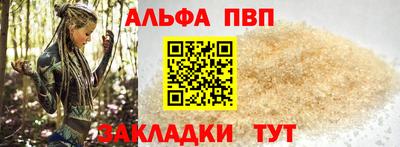 тгк Кингисепп