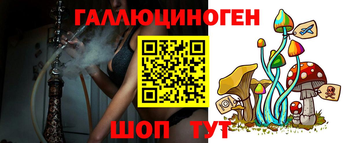 Чапаевск  Псилоцибиновые грибы MAGIC MUSHROOMS  Вход с VPN  Галлюциногенные грибы GOLDEN TEACHER 