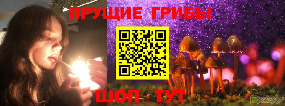 Галлюциногенные грибы ЛСД Чапаевск